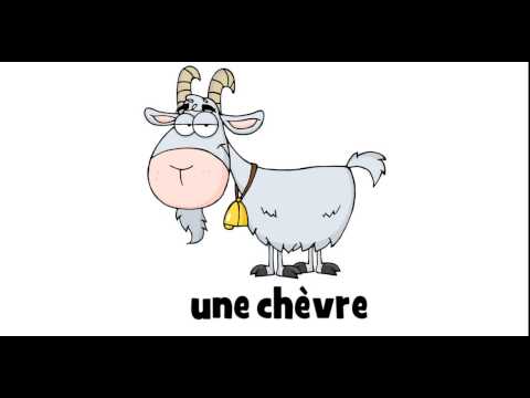 ვისწავლოთ ფრანგული # 1 dessin # une chèvre